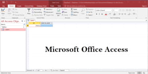 Master Microsoft Office Access